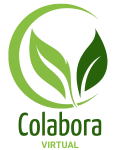 Colabora Virtual